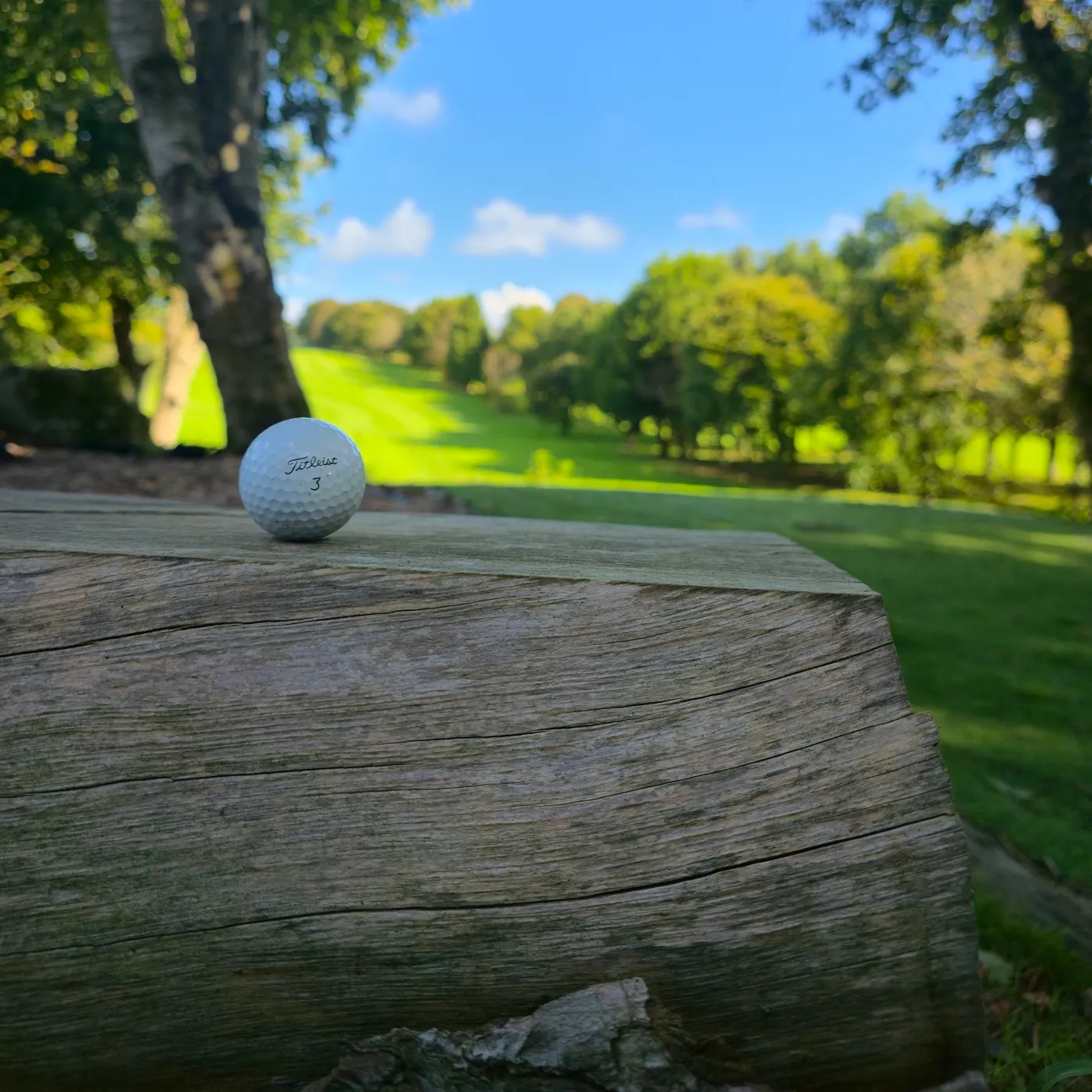 A golf ball resting on a weathered timber sleeper beside the fairway